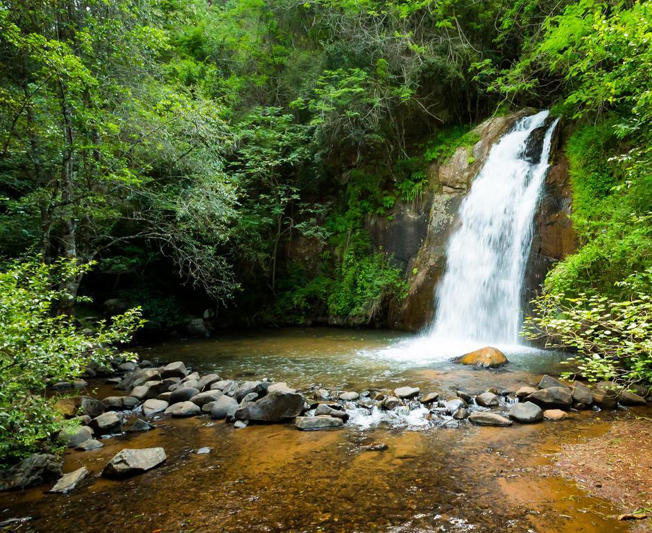 Laguna Lodge Graskop Bilik gambar